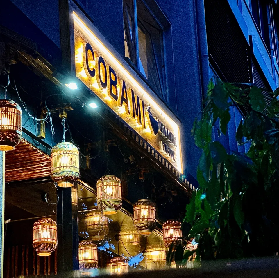 COBAMI in Darmstadt bei Nacht