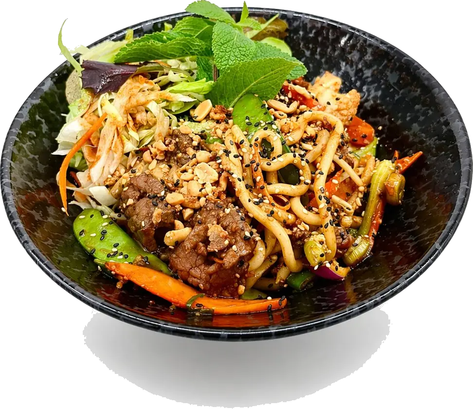 Udon with vegetables and beef